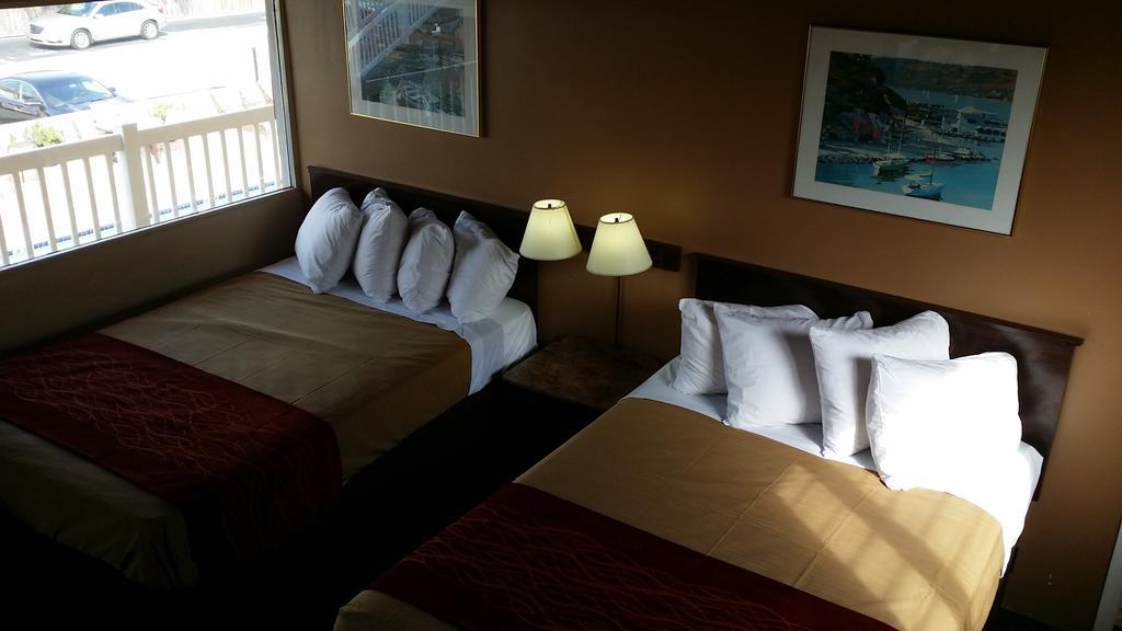 The Palms On Ocean Motel Pompano Beach Værelse billede