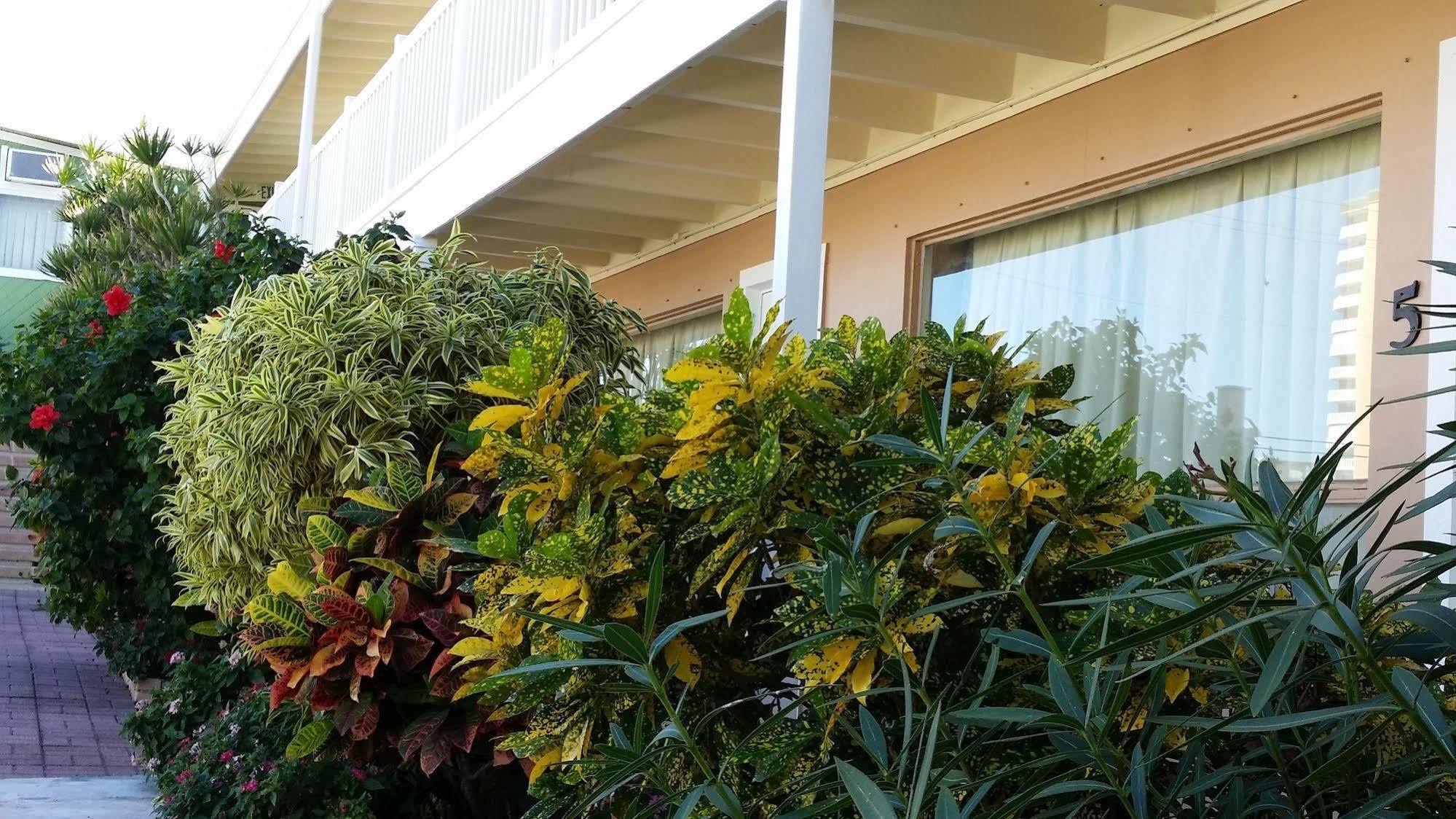 The Palms On Ocean Motel Pompano Beach Eksteriør billede