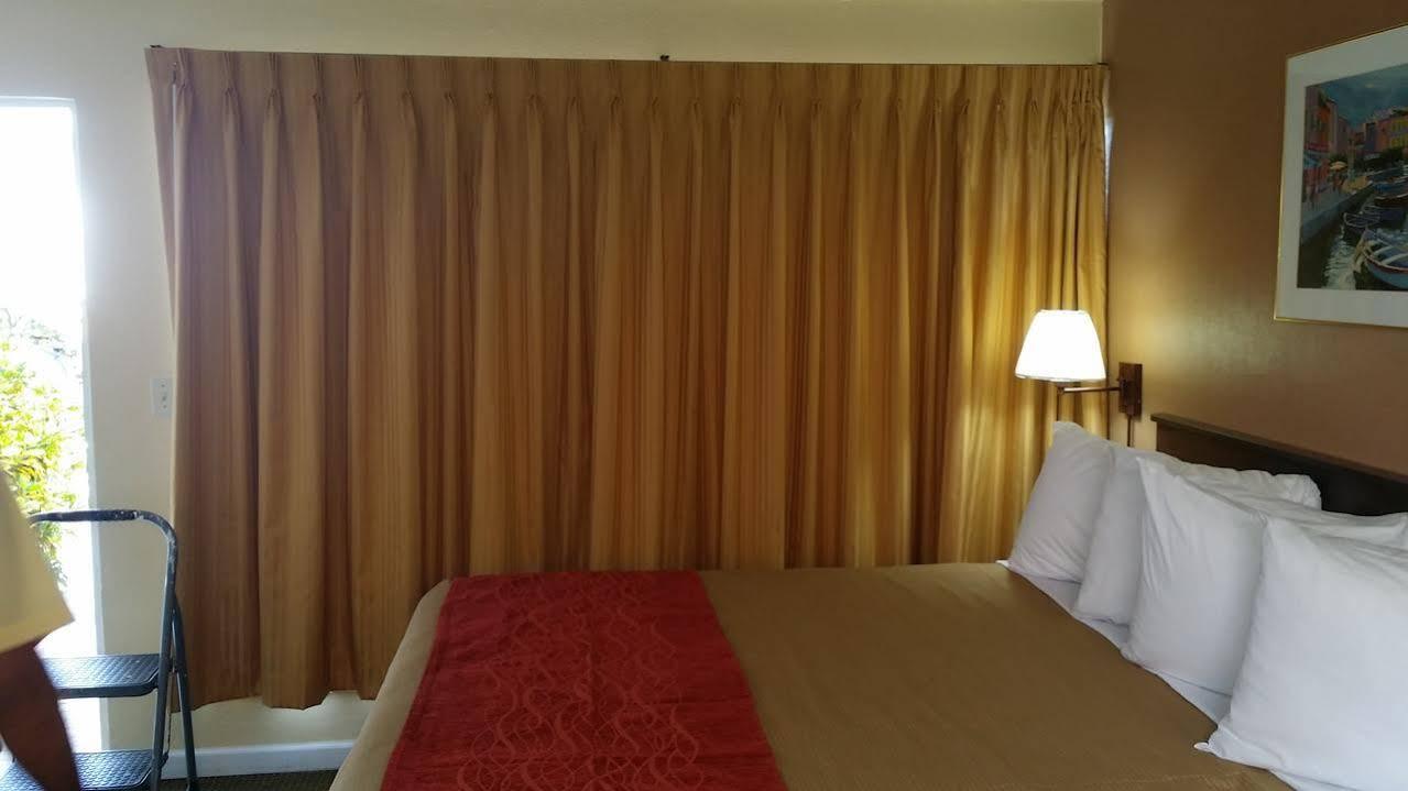 The Palms On Ocean Motel Pompano Beach Eksteriør billede